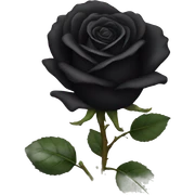 Black rose sticker