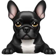 Black Frenchie laying  sticker