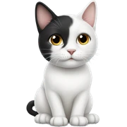 white cat, black ears  sticker
