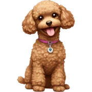 toy poodle sticker