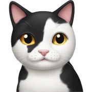 Tuxedo cat  sticker