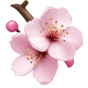 Cherry Blossom sticker