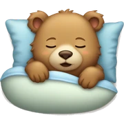 Cute baby bear sleeping sticker