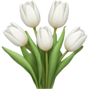 white tulip bouquet  sticker