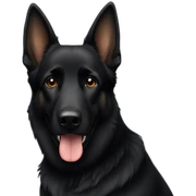 black german shepard sticker