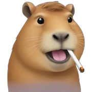 Capybara smoking sticker
