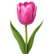 Pink tulips with a bow sticker