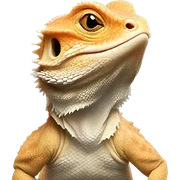 a bearded dragon  sticker