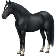 Black horse sticker