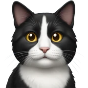 Tuxedo cat sticker