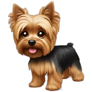 Yorkie sticker
