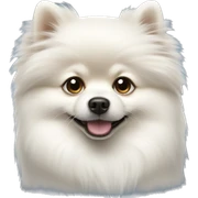 white pomeranian  sticker