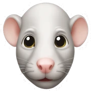 Bald rat sticker