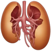 kidney sticker