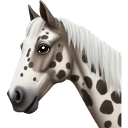Roan Appaloosa horse sticker