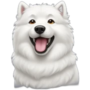 samoyed sticker