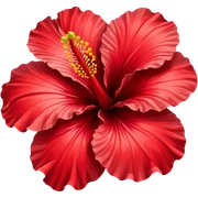 hibiscus sticker