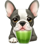 French Bulldog drinks matcha sticker