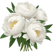 White peonies bouquet  sticker