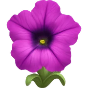 petunia mexicana flower sticker