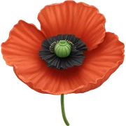 Poppy flower sticker