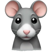 Rat glass sticker