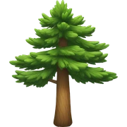 PINE sticker
