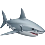 Common shark sticker