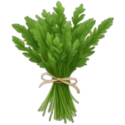 bouquet of green herbs sticker