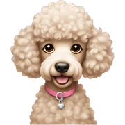 Poodle love sticker