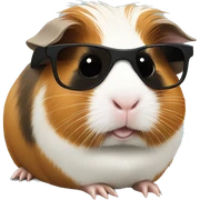 Guinea pig with sunglasses  sticker