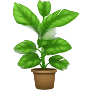 Pianta parassita sticker