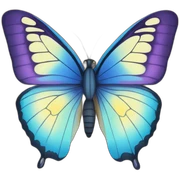 butterfly sticker