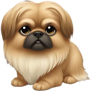 Pekinese light brown wool sticker