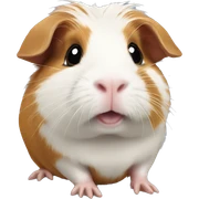 Guinea pig sticker