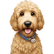 Goldendoodle  sticker