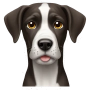Pointers sticker