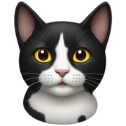 Gato negro sticker
