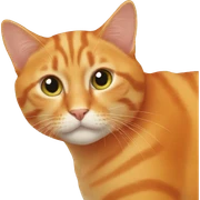 orange cat sticker