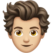 Harry styles  sticker