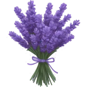Bouquet of lavender  sticker