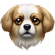 Tibetan Spaniel, with soft, brown face framed by floppy ears. black eyes and dark nose, giving it an alert, curious expression. body mostly white with brown patches and soft, medium-length fur. tail curls upwards, covered in feathery fur sticker