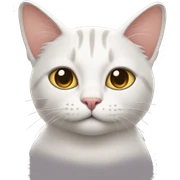 Cat sticker