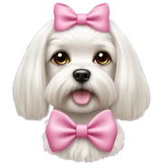 Maltese dog with a pink bow girl sticker