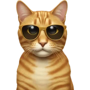 Cat with sunglasses sticker