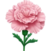 carnation flower sticker