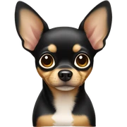 black and tan chihuahua sticker
