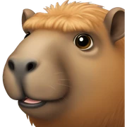 capibara sticker