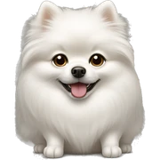 White Pomeranian  sticker