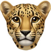 Leapard  sticker
